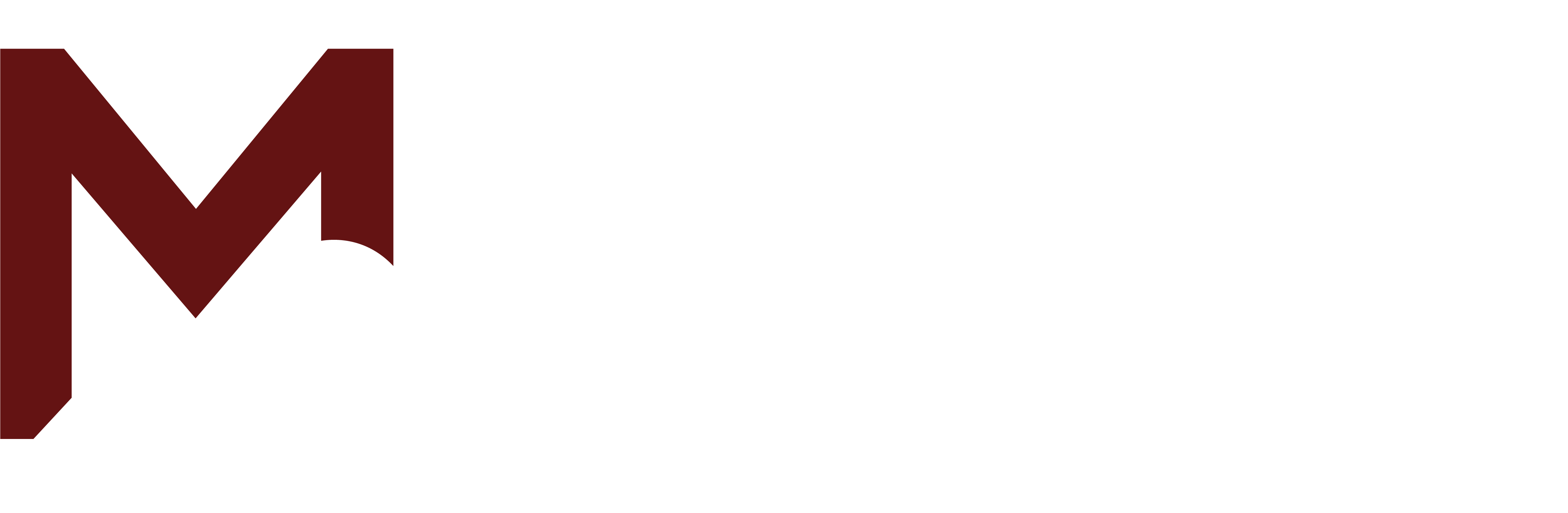 MAORI LOGO